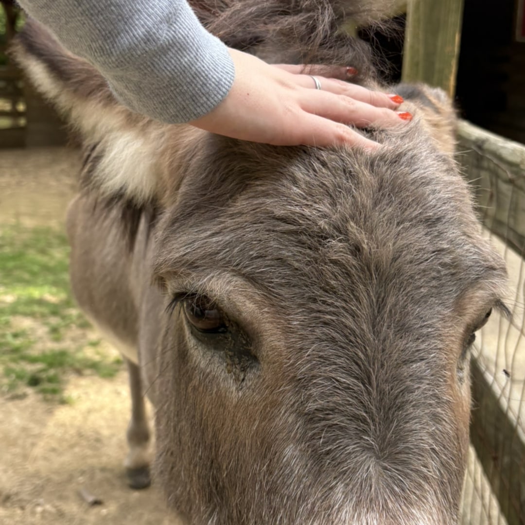 Photo shared by Addison for their Babylist baby registry.