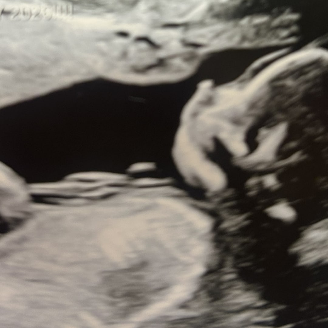 Photo shared by Jordan for their Babylist baby registry.