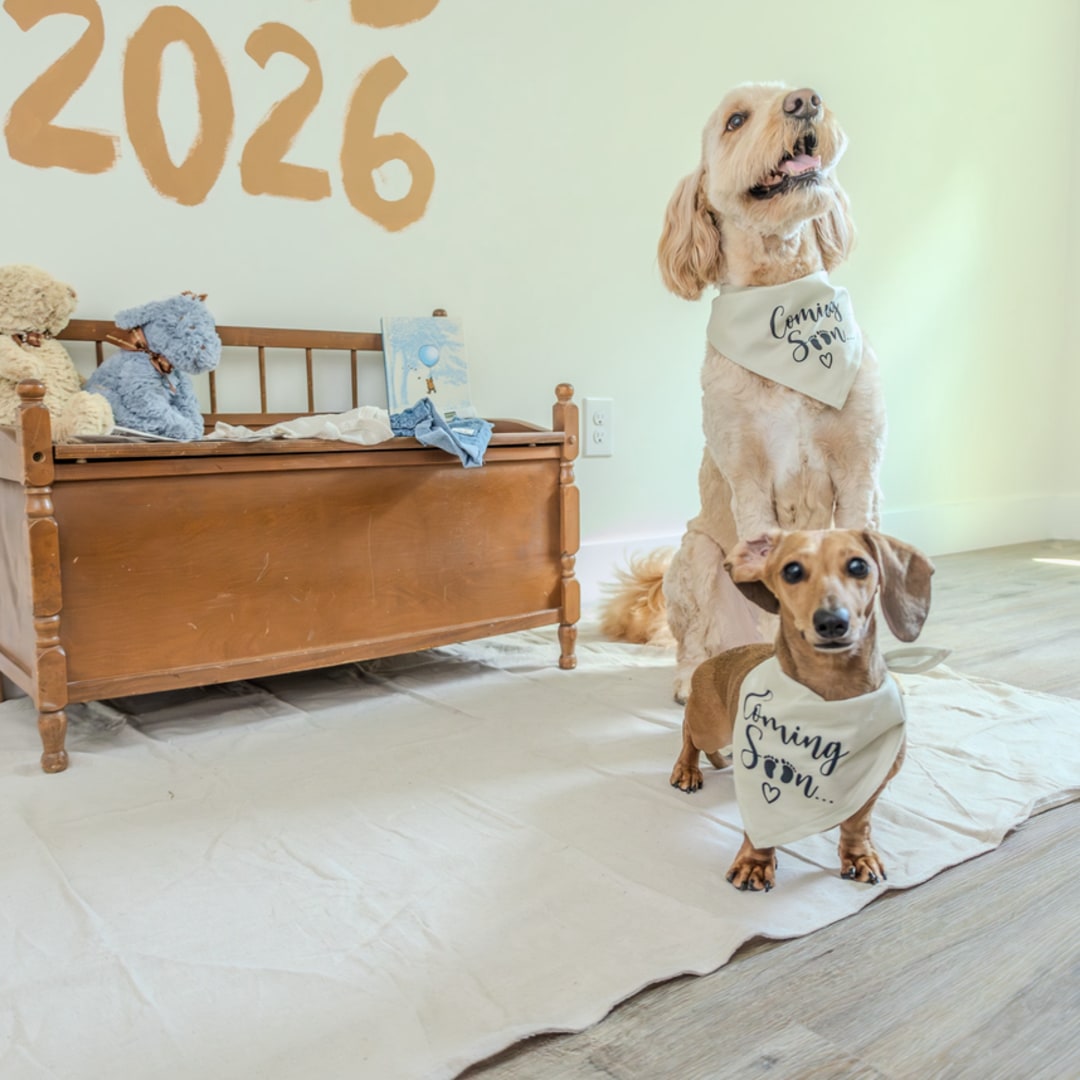 Photo shared by Kaylynn & Evan for their Babylist baby registry.