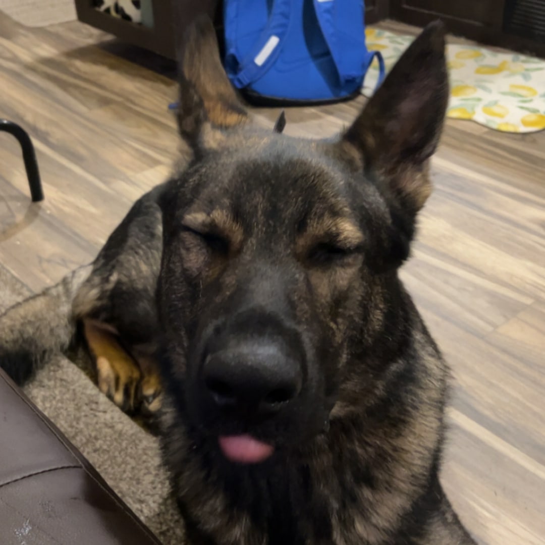 Photo shared by Hannah for their Babylist baby registry.