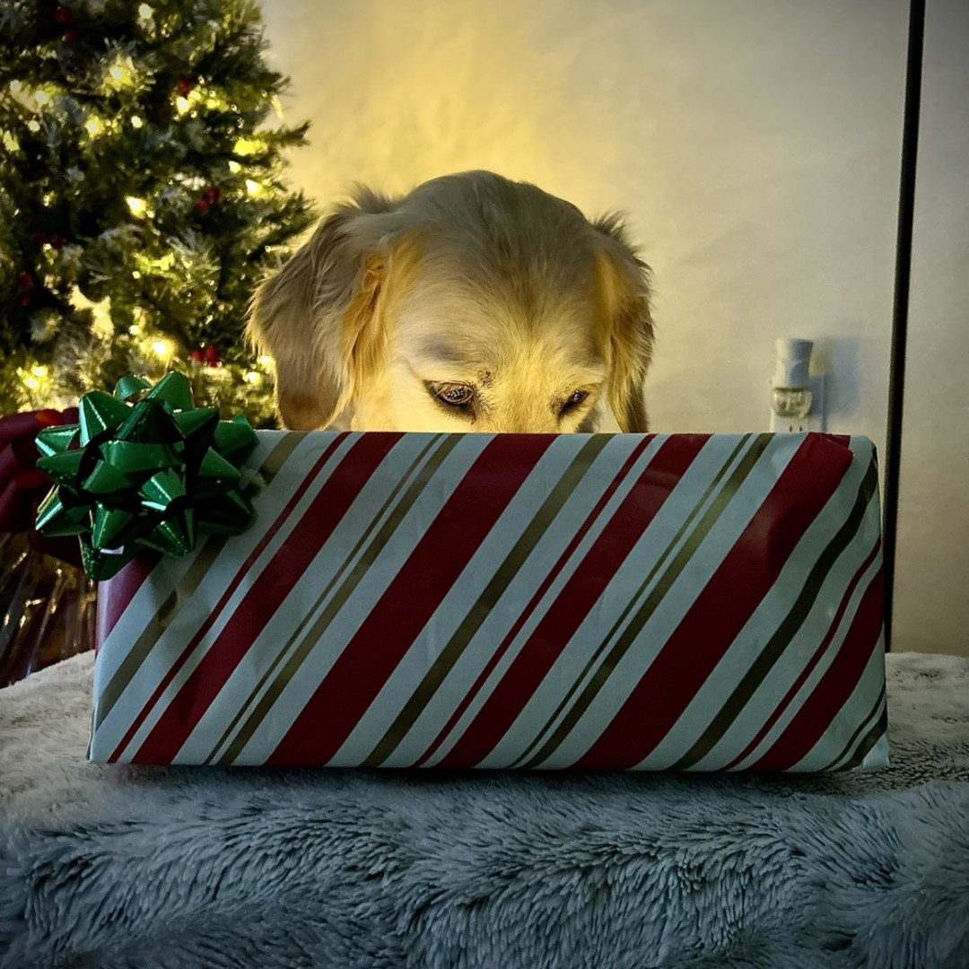 Photo shared by Fiona for their Babylist baby registry.