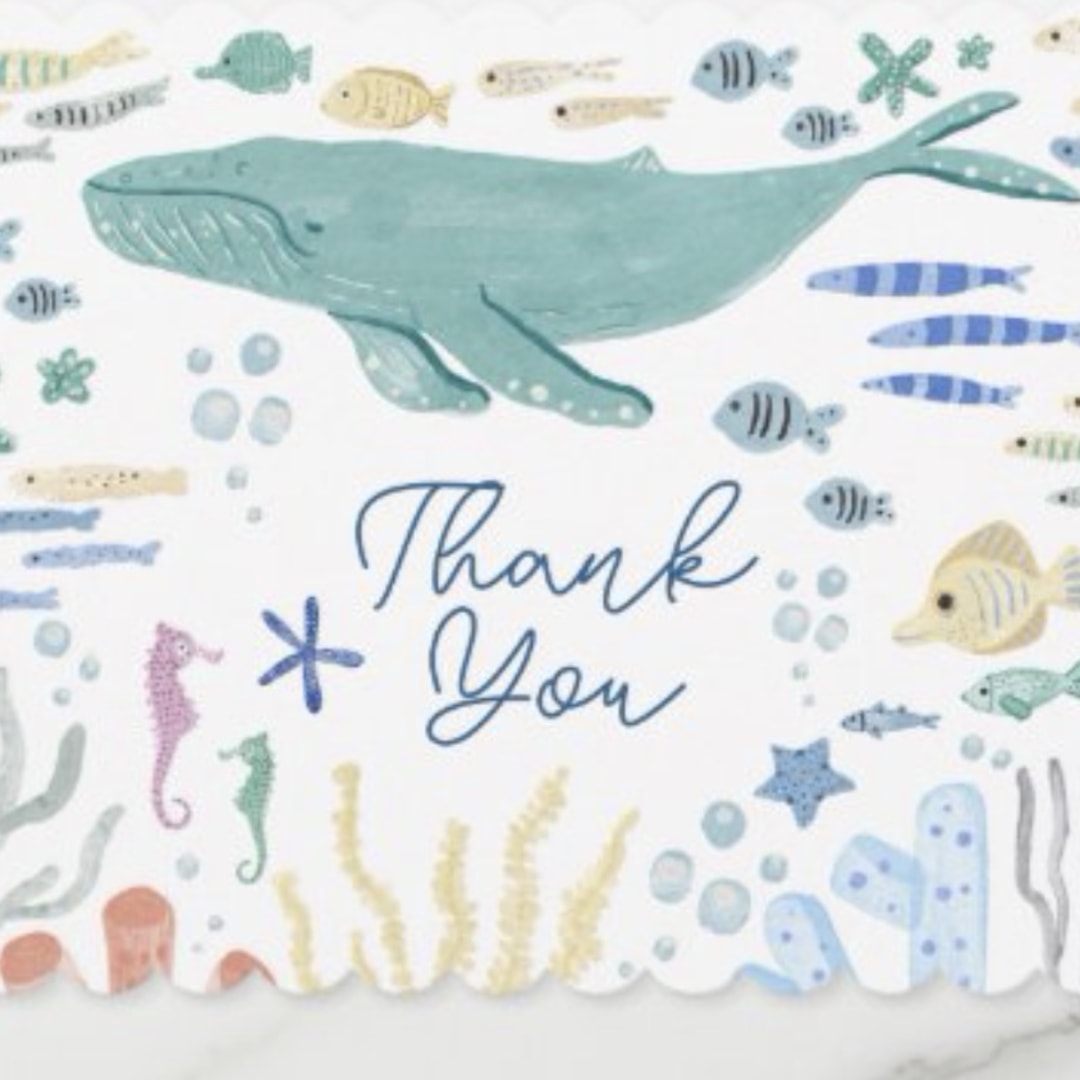 Photo shared by Merna for their Babylist baby registry.