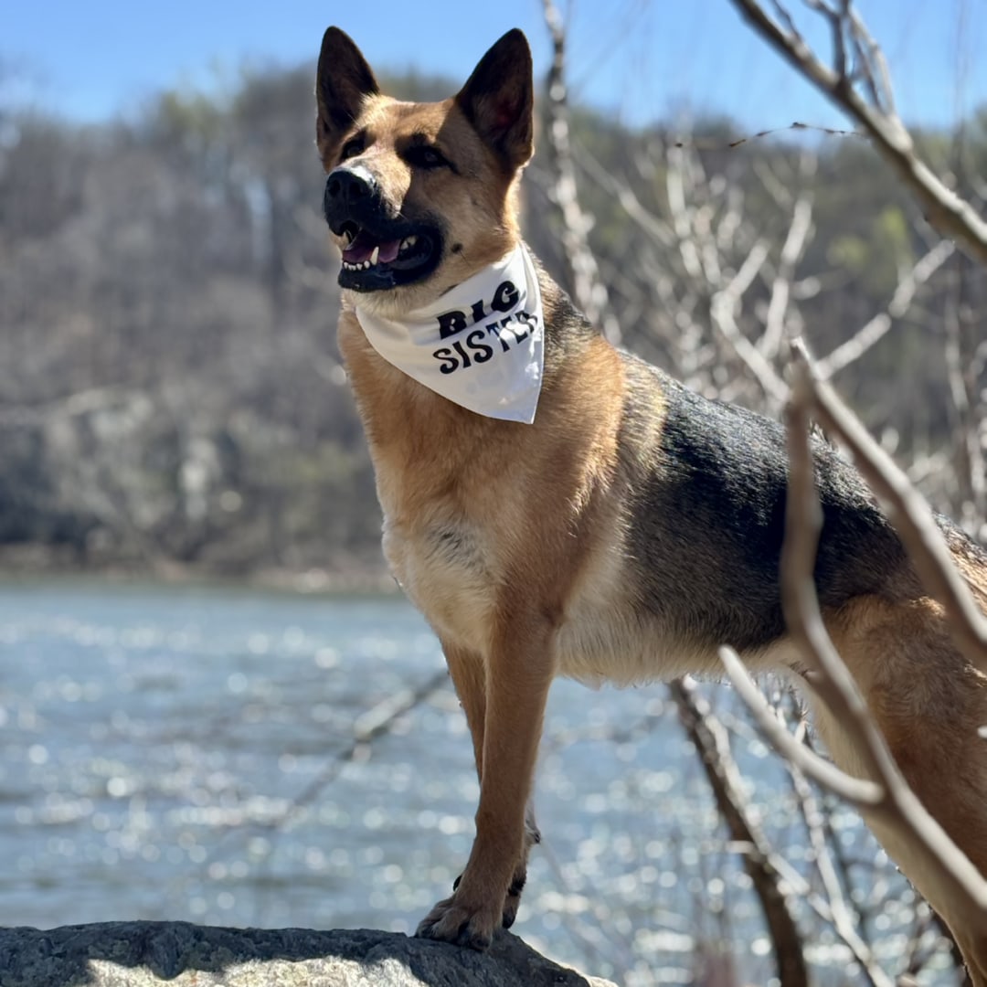 Photo shared by Laura for their Babylist baby registry.