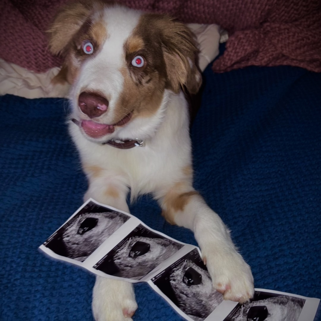 Photo shared by Savannah for their Babylist baby registry.