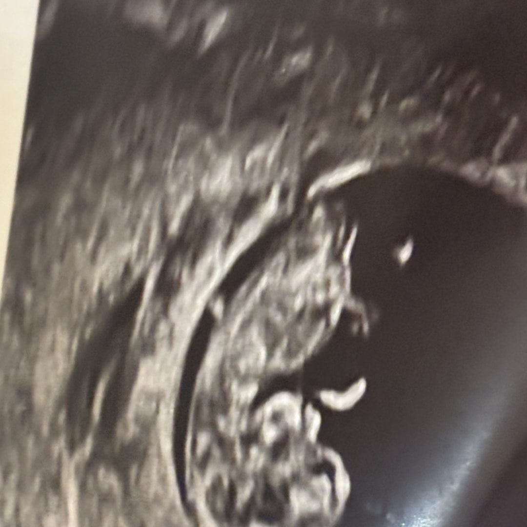 Photo shared by Crystal for their Babylist baby registry.