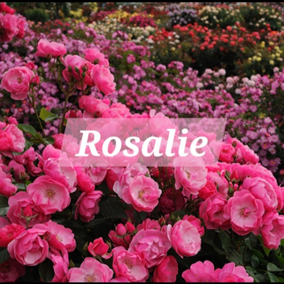 Photo shared by Rachel for their Babylist baby registry.