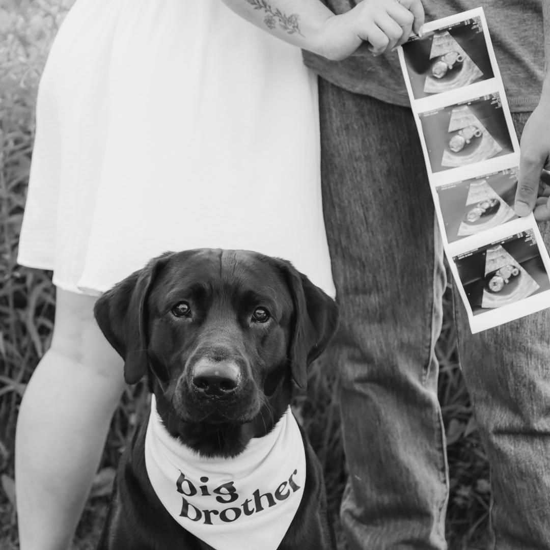 Photo shared by Becka for their Babylist baby registry.
