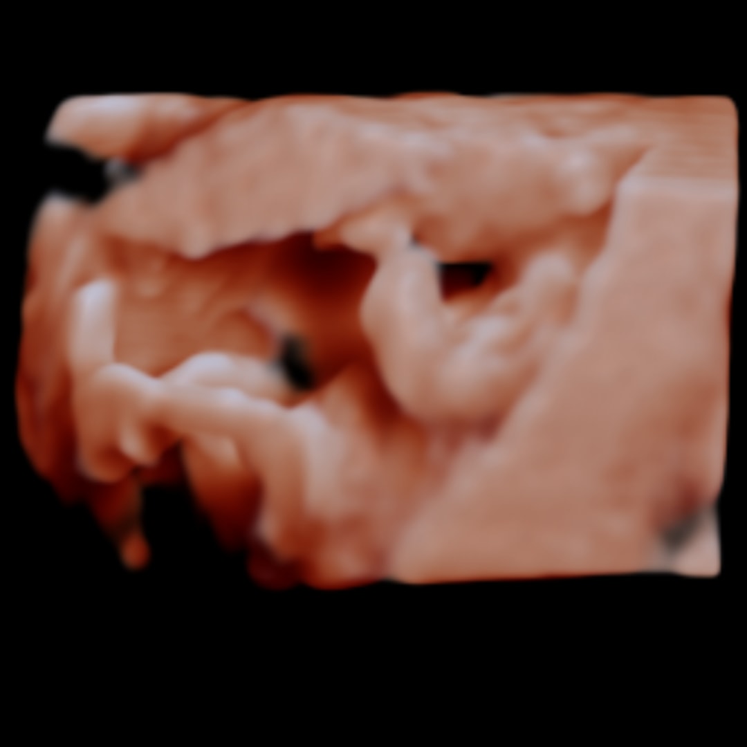 Photo shared by Alizé for their Babylist baby registry.