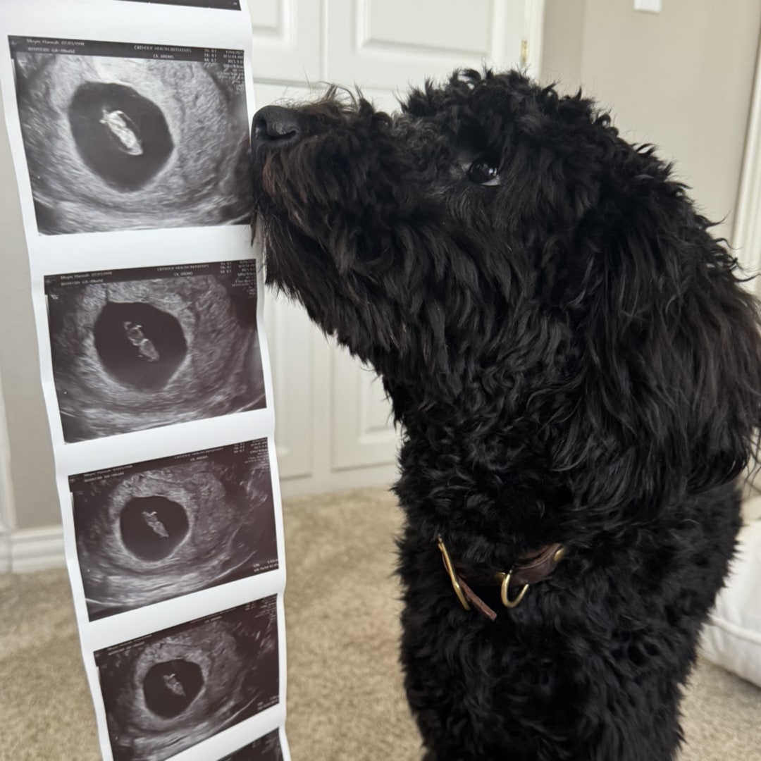 Photo shared by Hannah and Pierce for their Babylist baby registry.