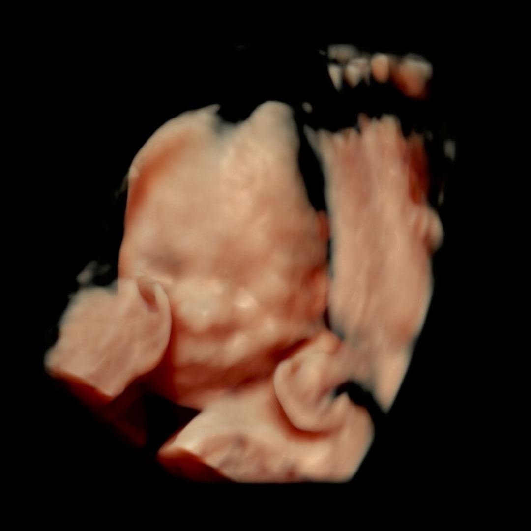 Photo shared by Nicole for their Babylist baby registry.