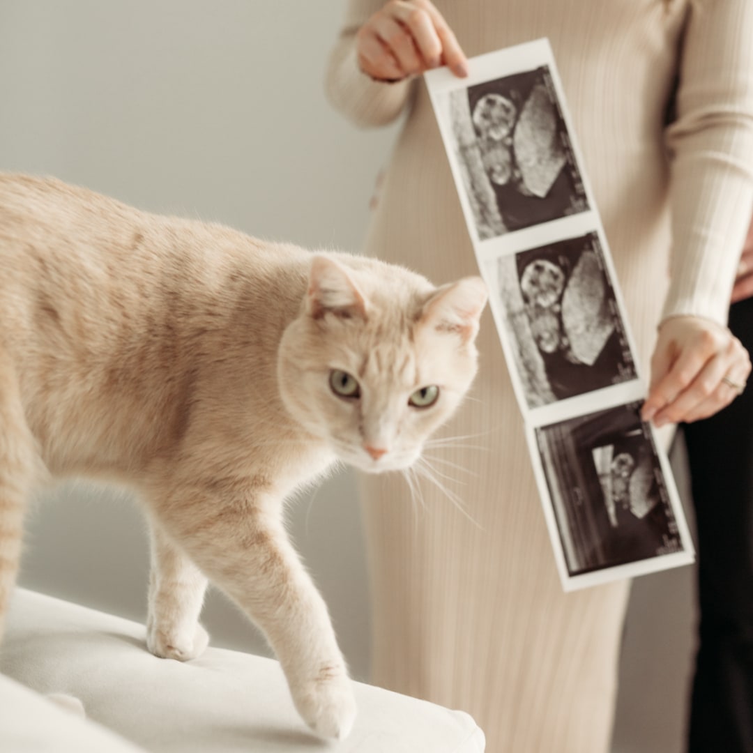 Photo shared by Anne for their Babylist baby registry.