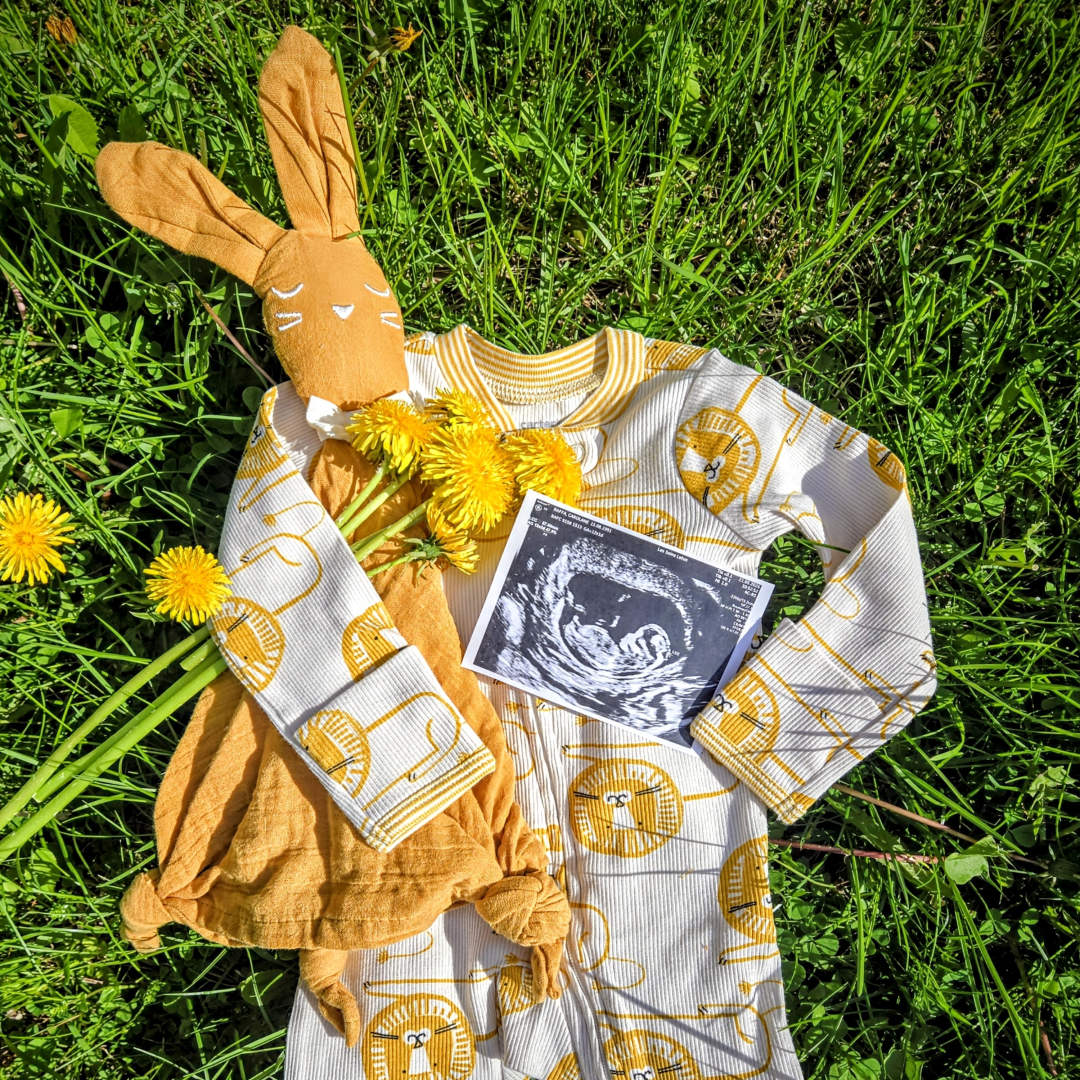Photo shared by Carolane for their Babylist baby registry.