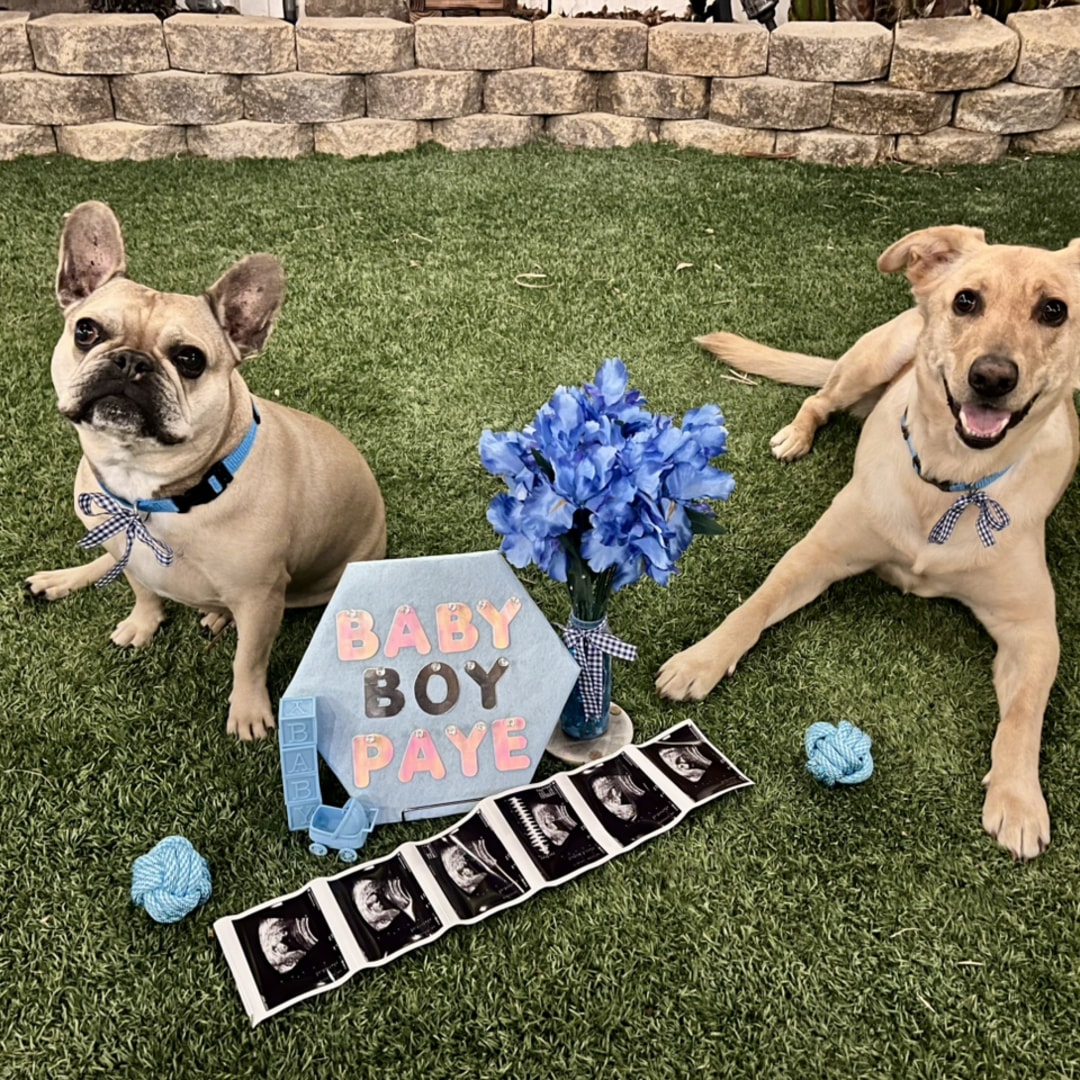 Photo shared by Maysen for their Babylist baby registry.