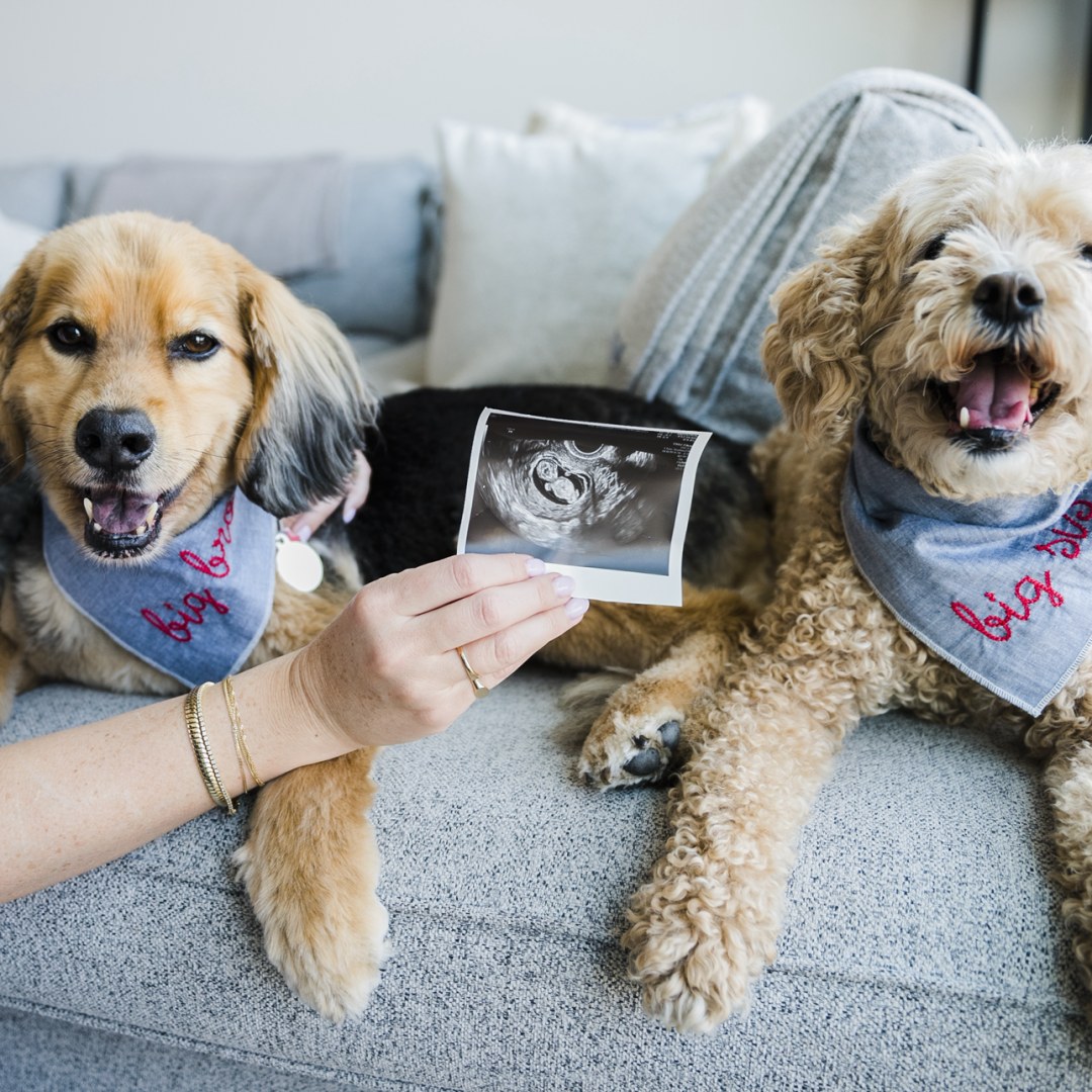 Photo shared by Aliya for their Babylist baby registry.