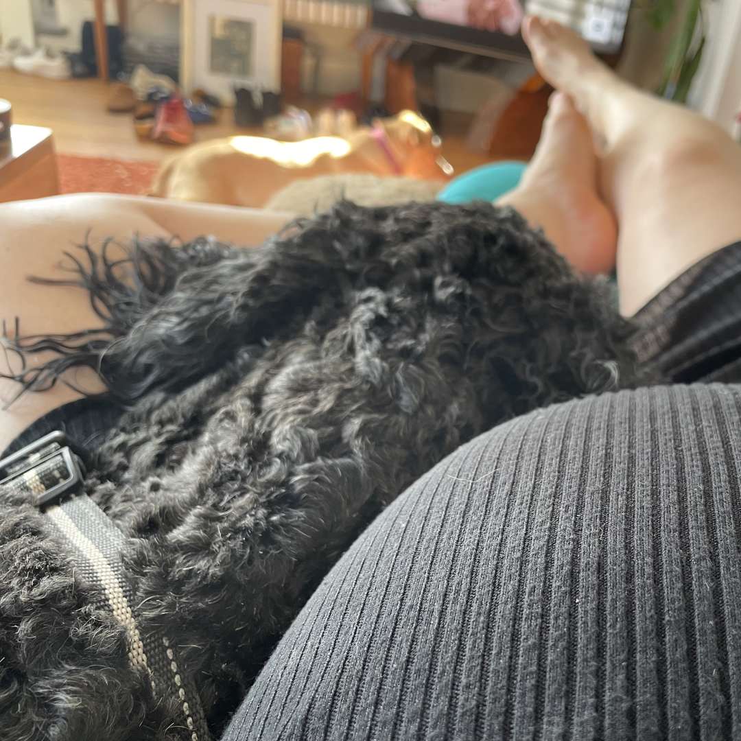 Photo shared by Alana for their Babylist baby registry.