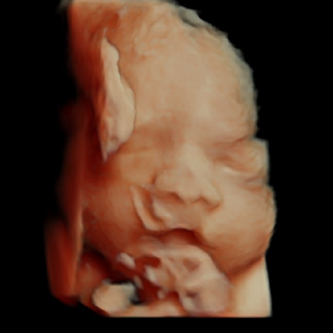 Photo shared by Aousharay for their Babylist baby registry.
