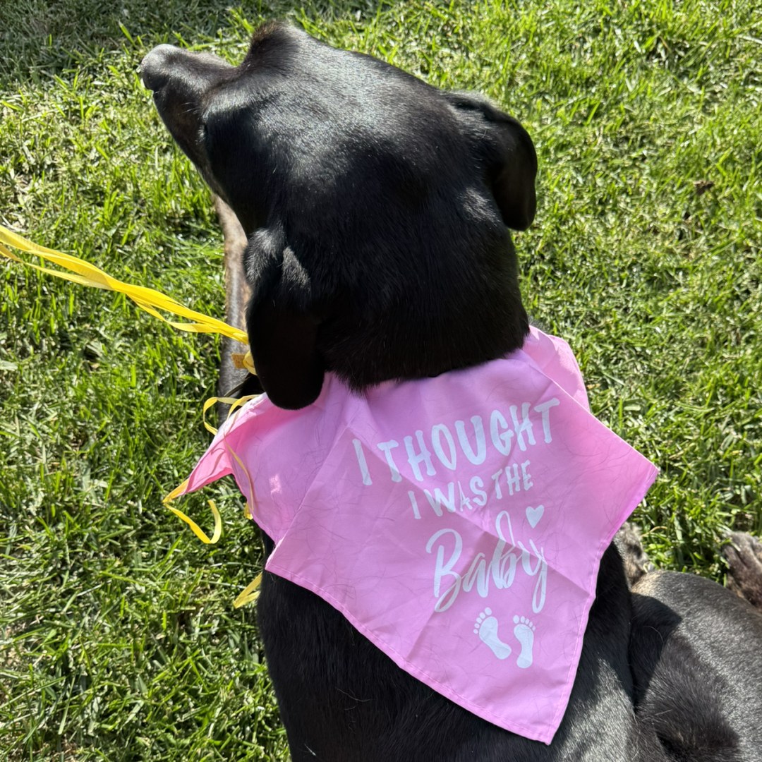 Photo shared by Annely for their Babylist baby registry.