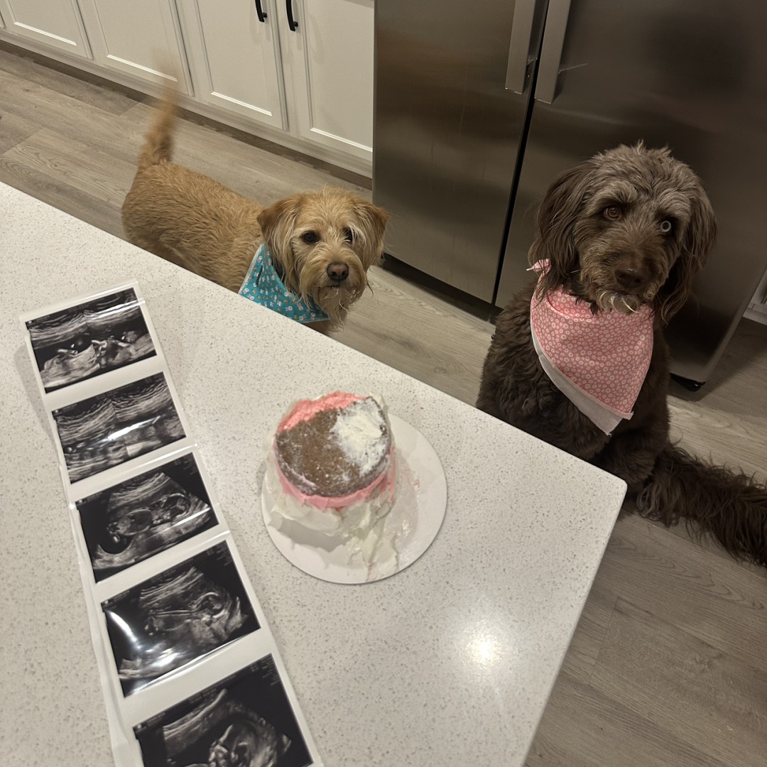 Photo shared by Alicia for their Babylist baby registry.