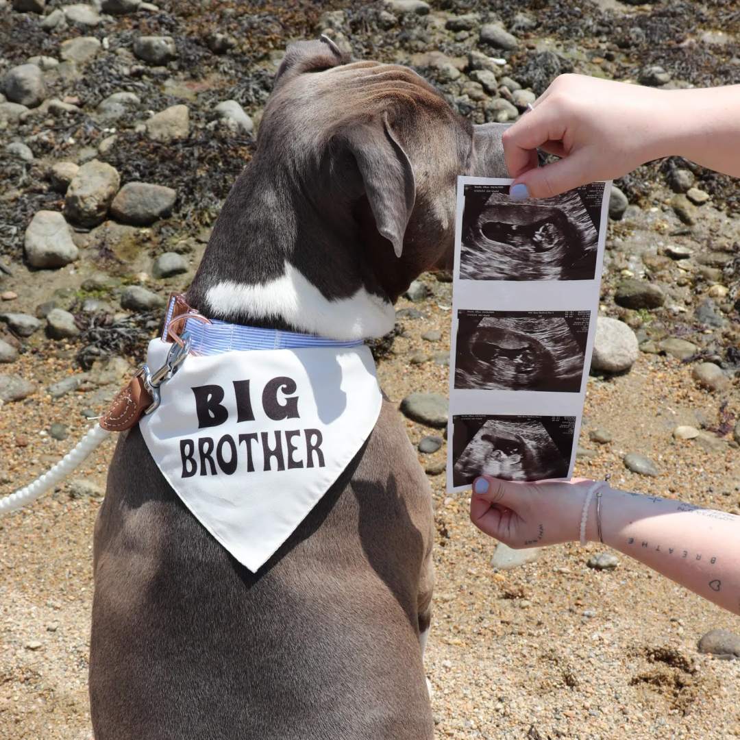 Photo shared by Jillian for their Babylist baby registry.