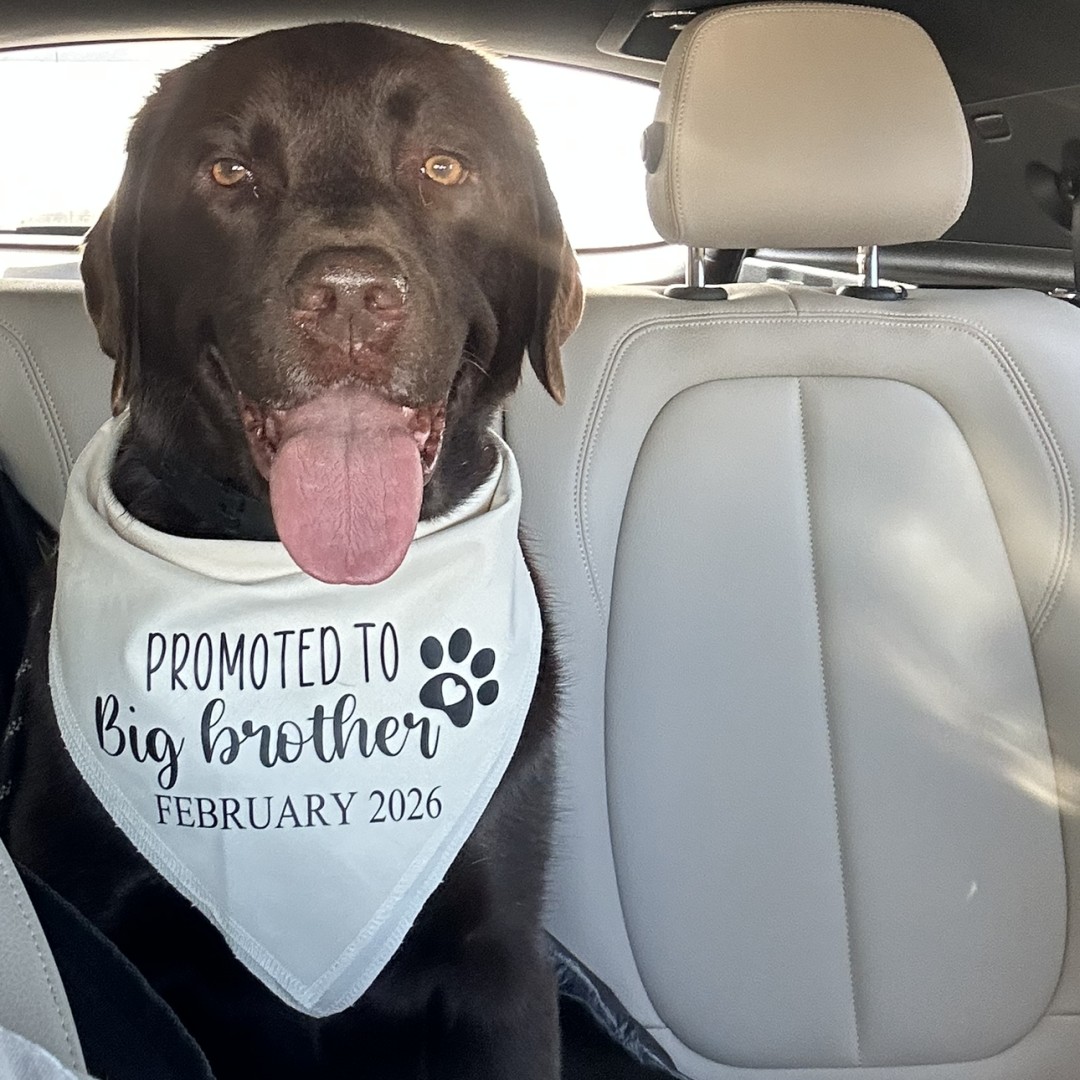 Photo shared by Sheena for their Babylist baby registry.