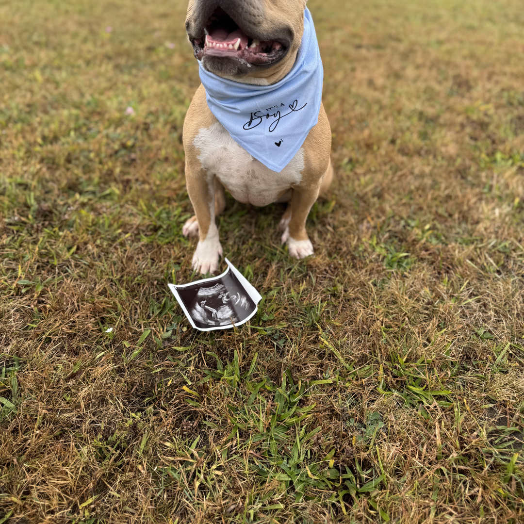 Photo shared by Karli for their Babylist baby registry.