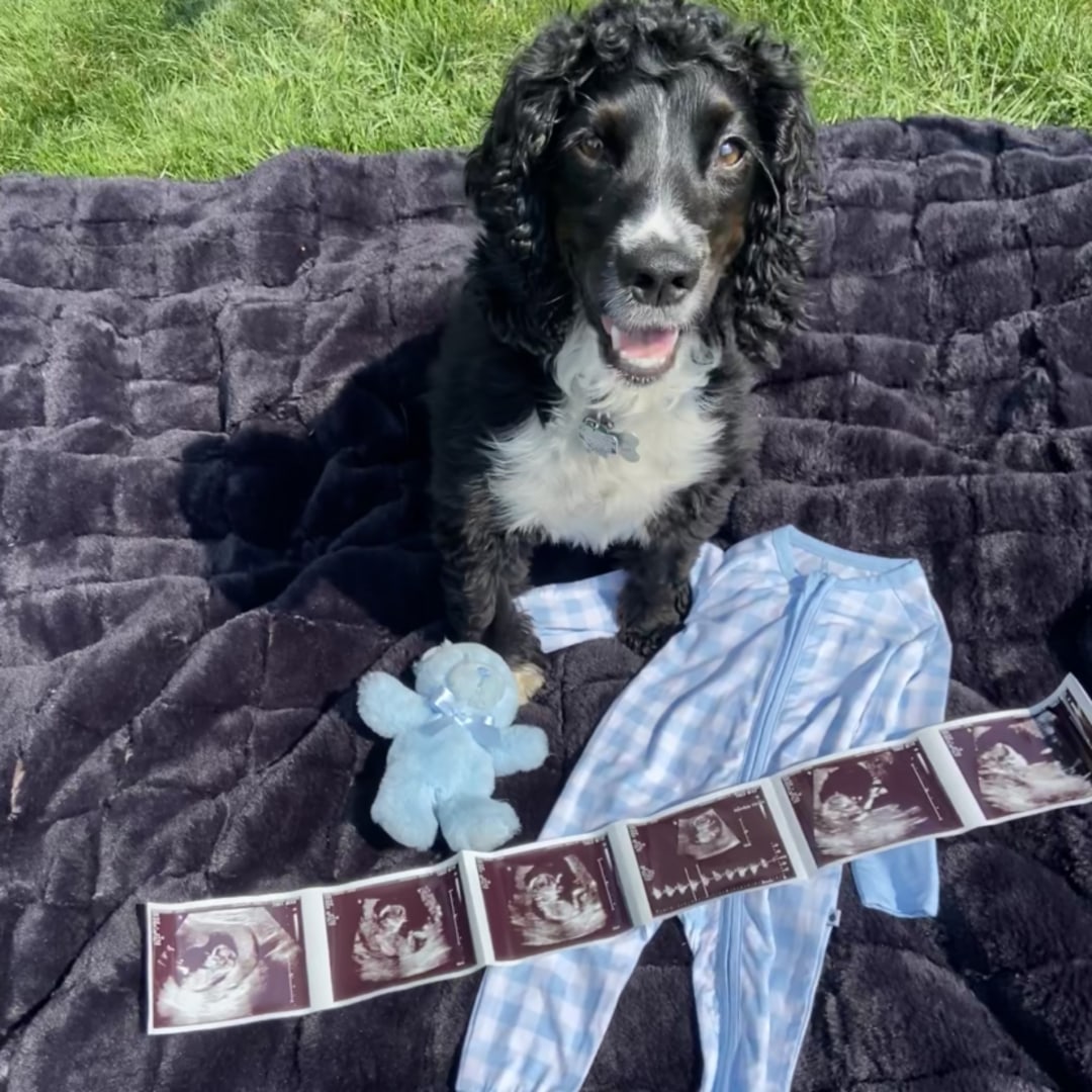 Photo shared by Christine for their Babylist baby registry.