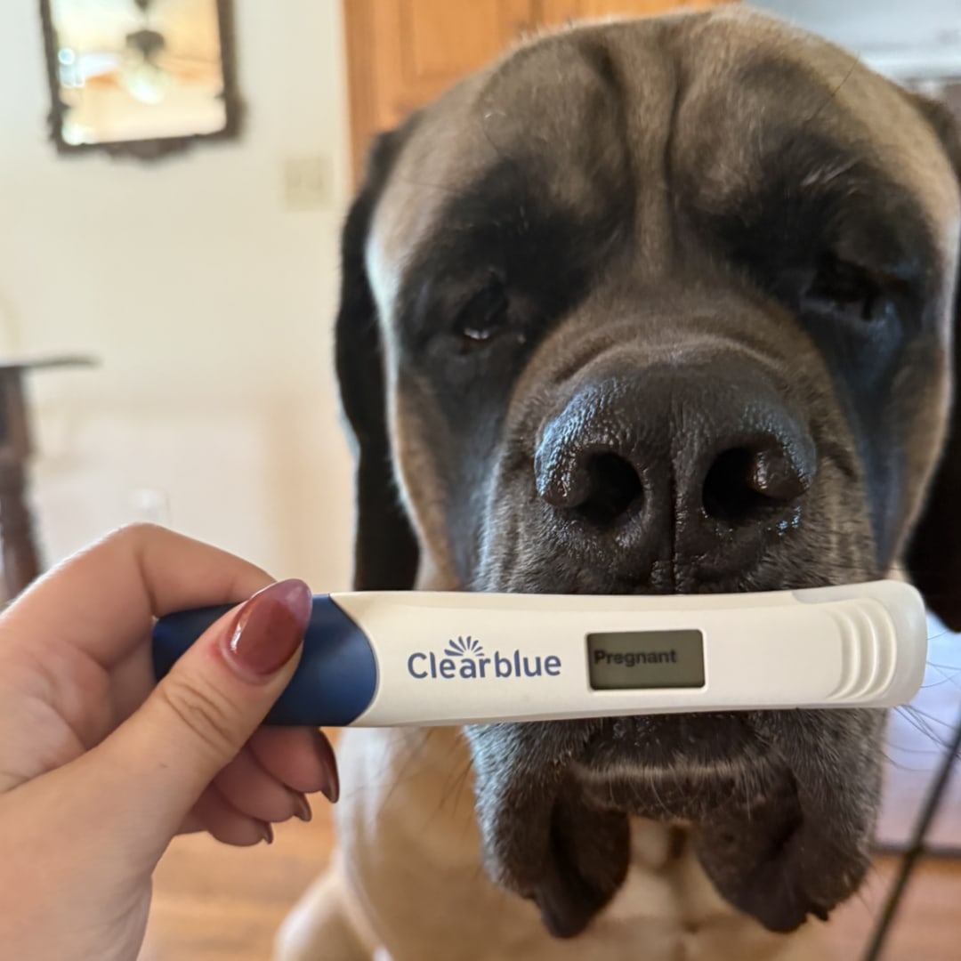 Photo shared by McKenna for their Babylist baby registry.