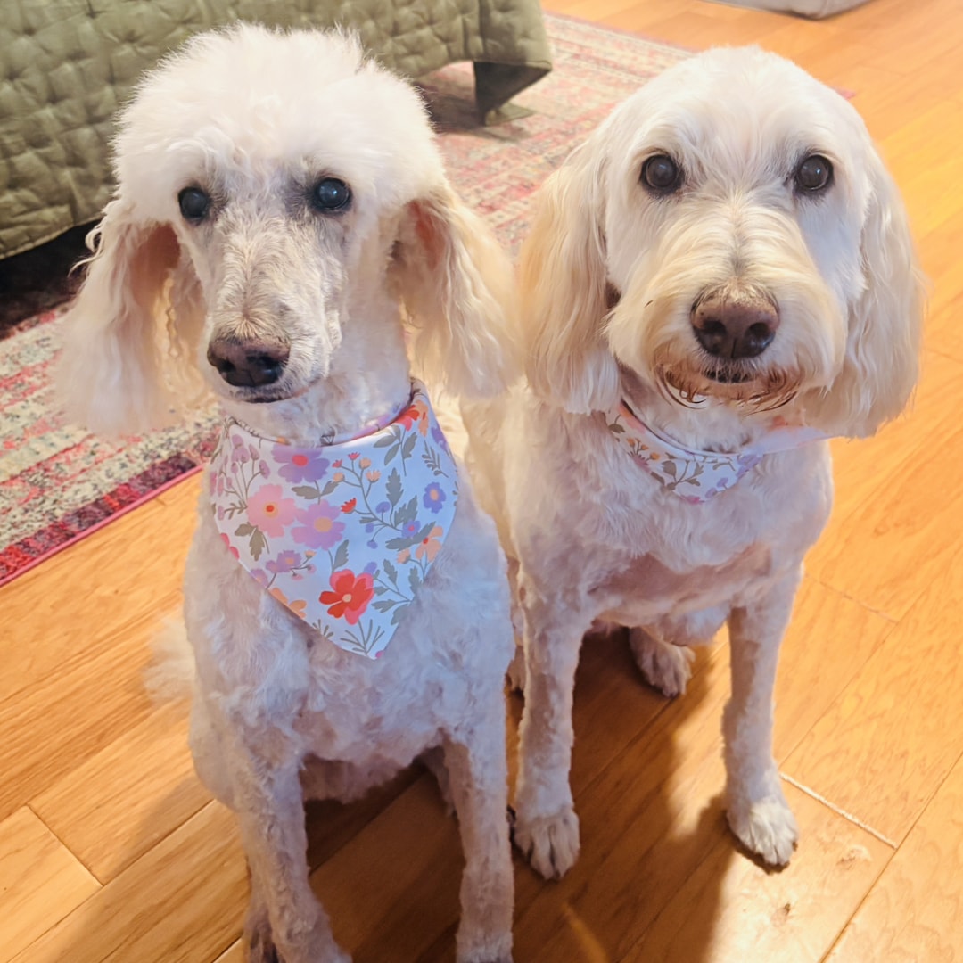 Photo shared by Christian for their Babylist baby registry.