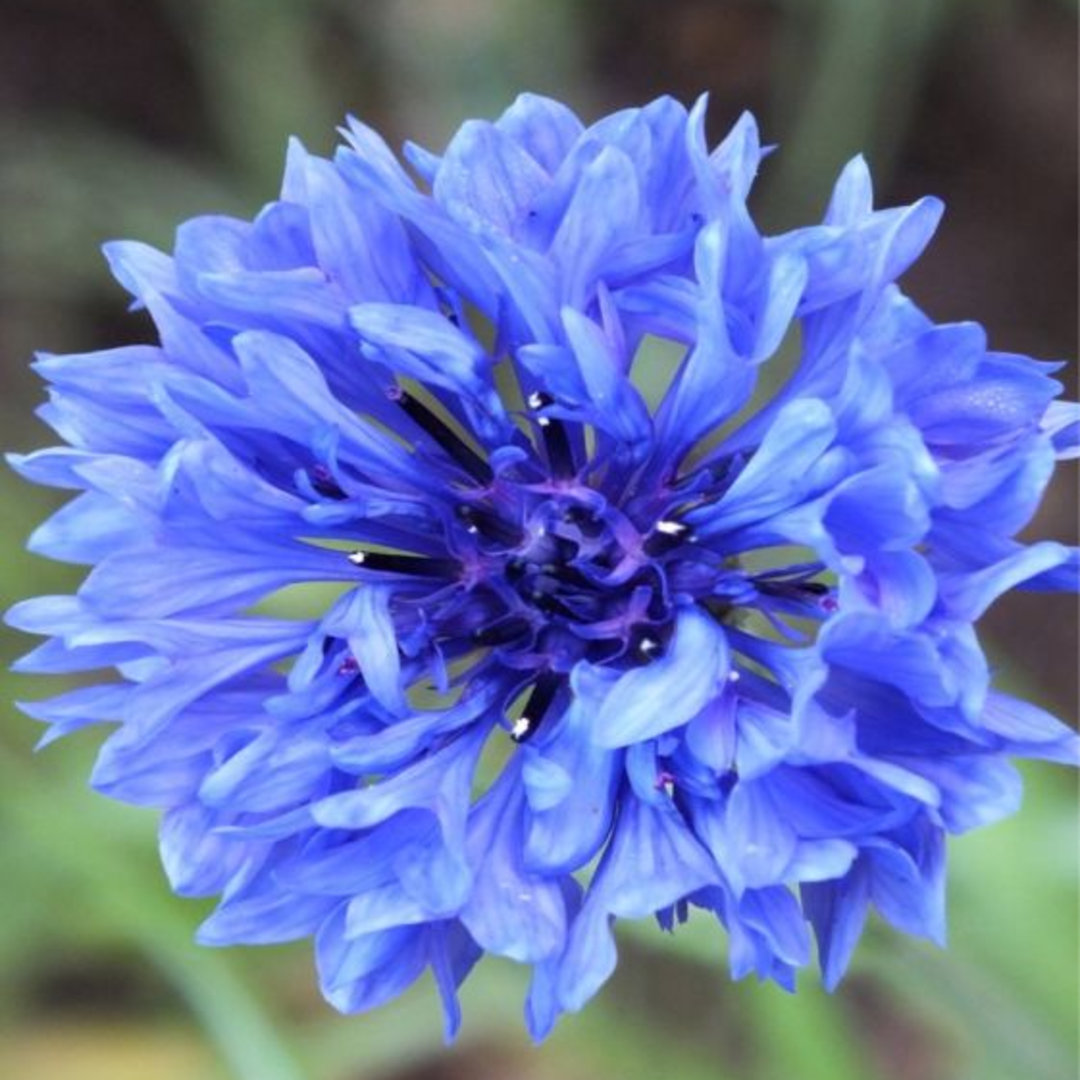 Photo shared by Sienna for their Babylist baby registry.