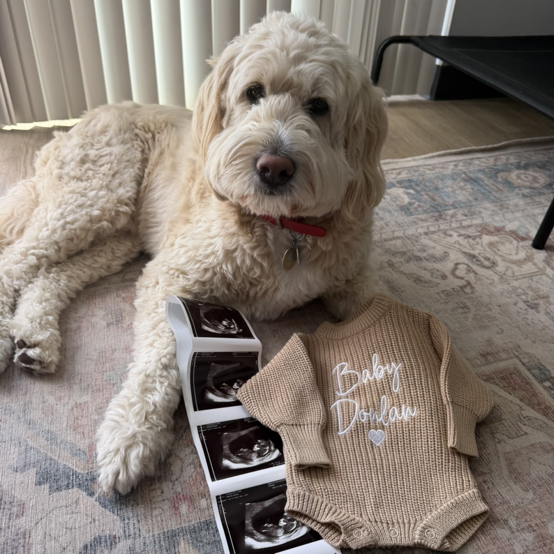 Photo shared by Abigail for their Babylist baby registry.
