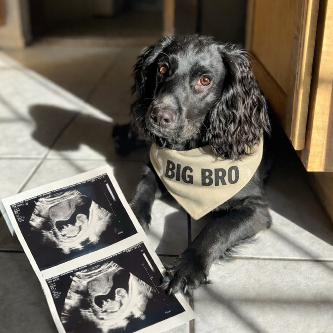 Photo shared by Alyssa for their Babylist baby registry.