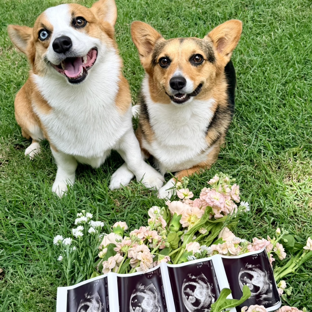 Photo shared by Katelyn for their Babylist baby registry.