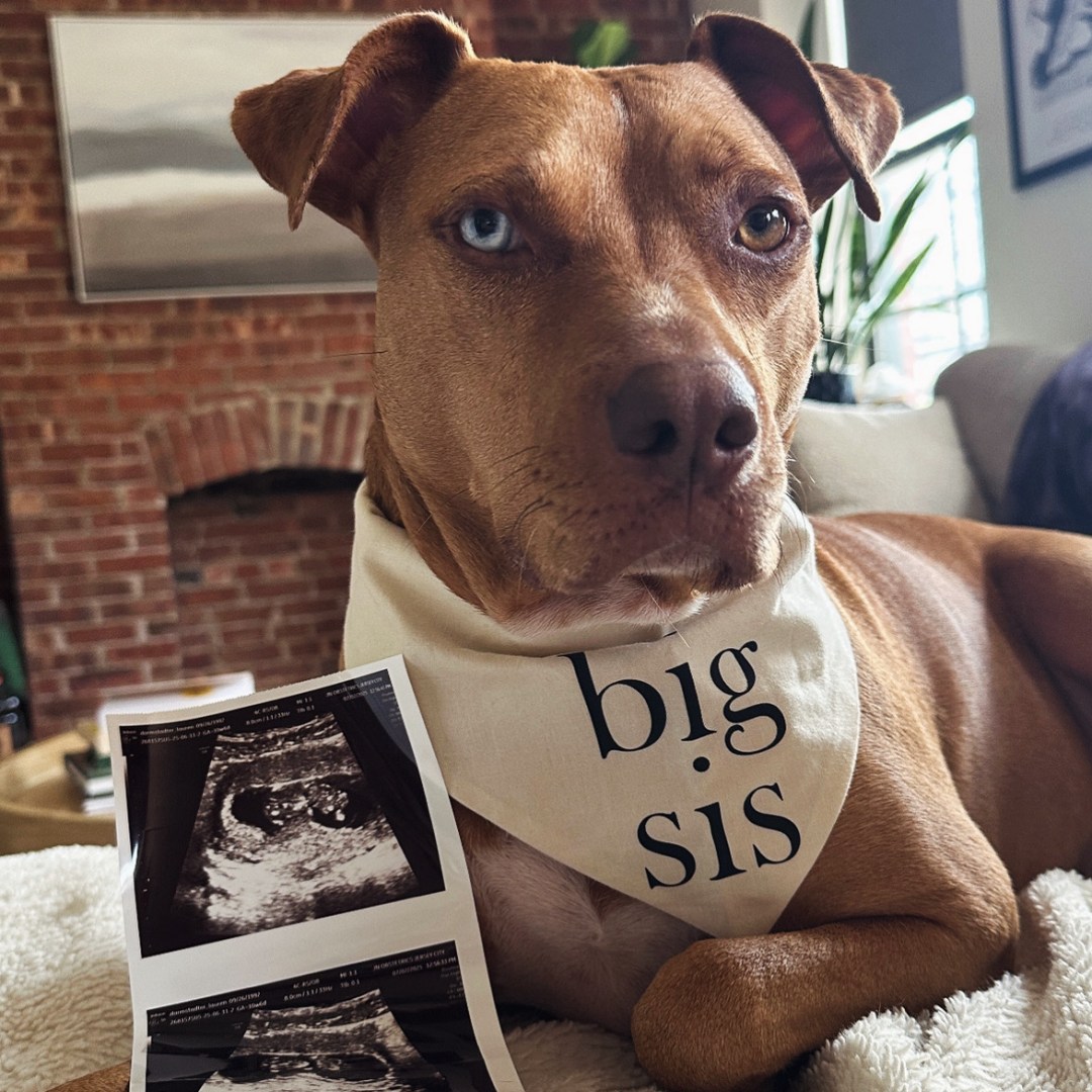 Photo shared by Lauren for their Babylist baby registry.