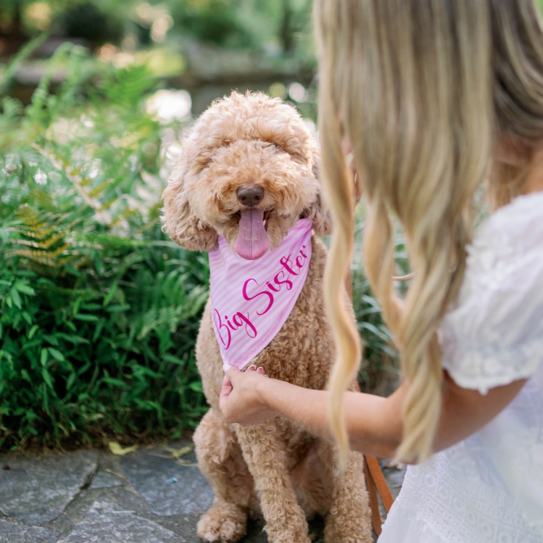 Photo shared by Rachel for their Babylist baby registry.
