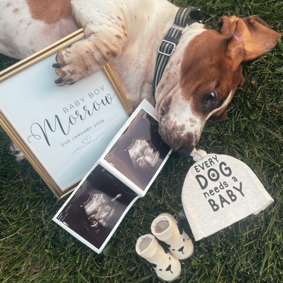 Photo shared by Molly for their Babylist baby registry.