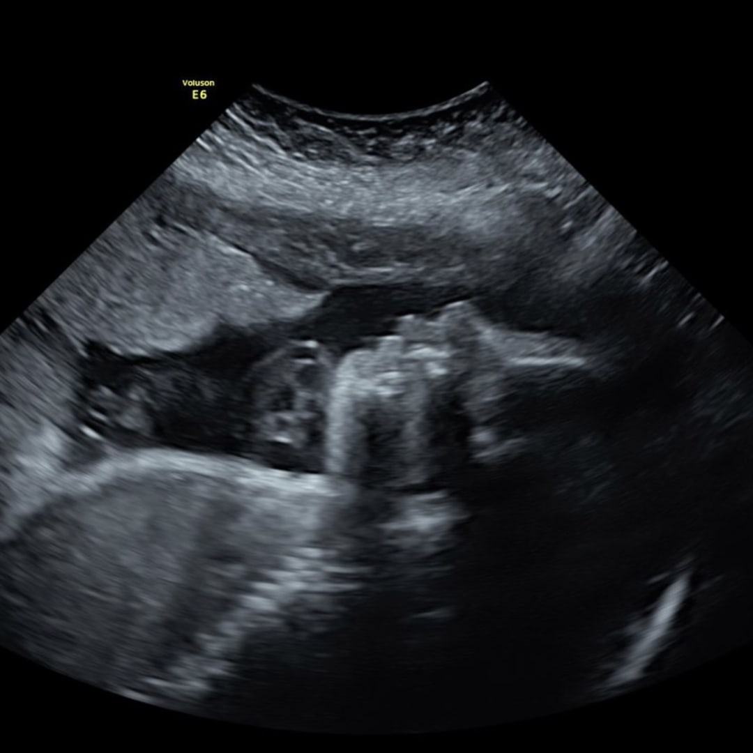 Photo shared by Jennifer for their Babylist baby registry.