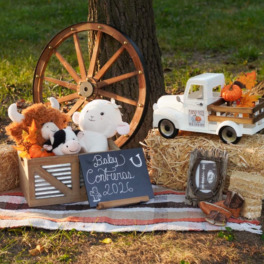 Photo shared by Cristal for their Babylist baby registry.