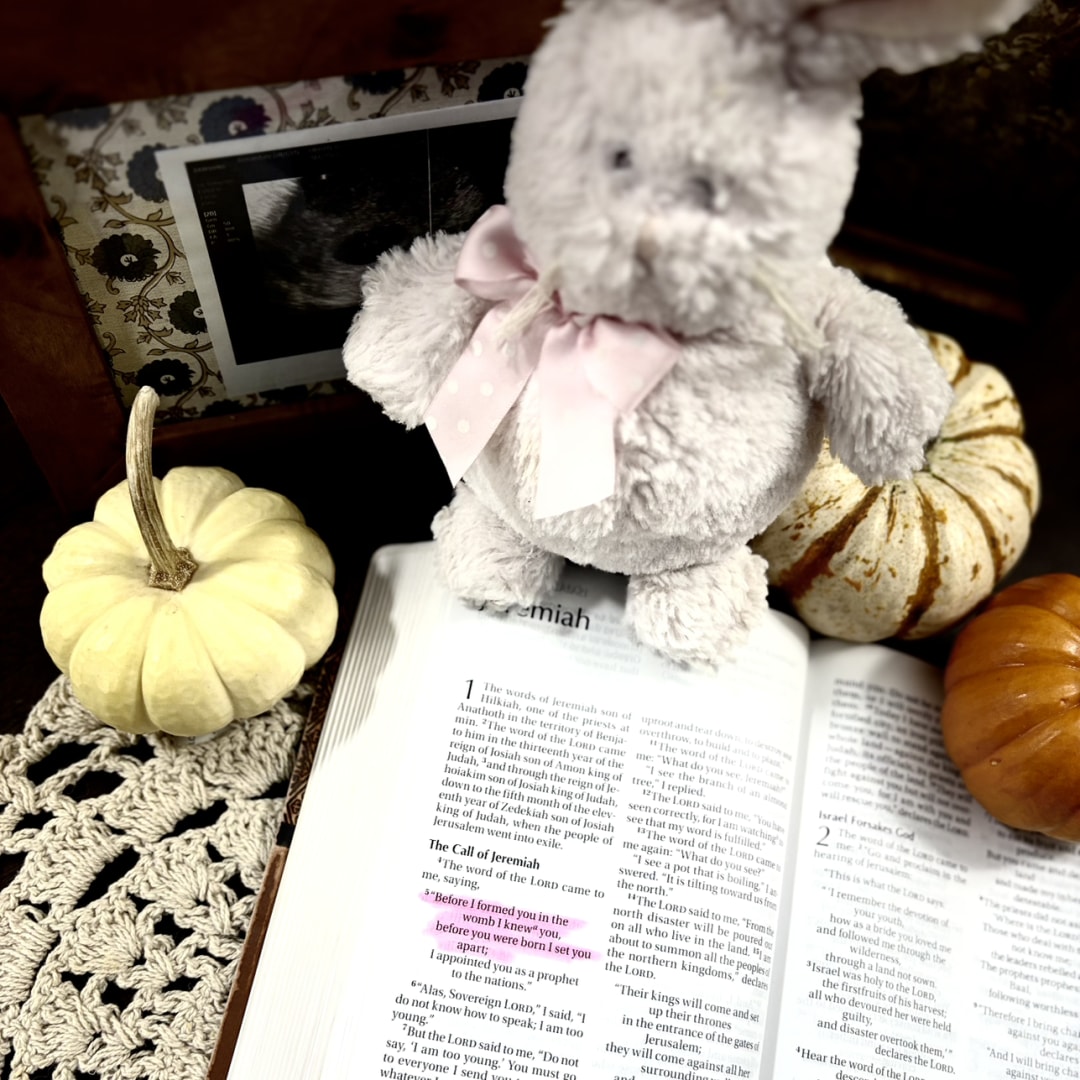 Photo shared by Brizeyda for their Babylist baby registry.