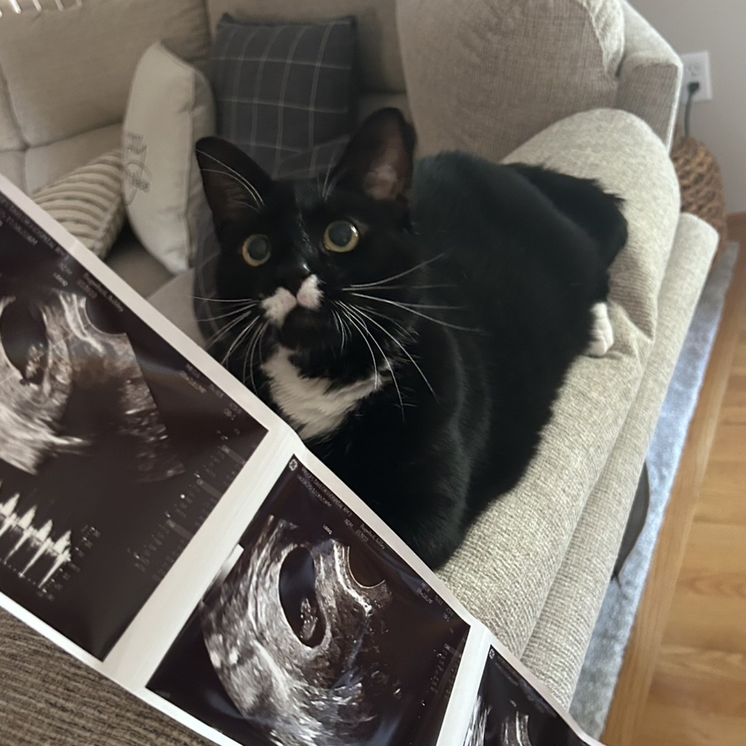 Photo shared by Ashley for their Babylist baby registry.