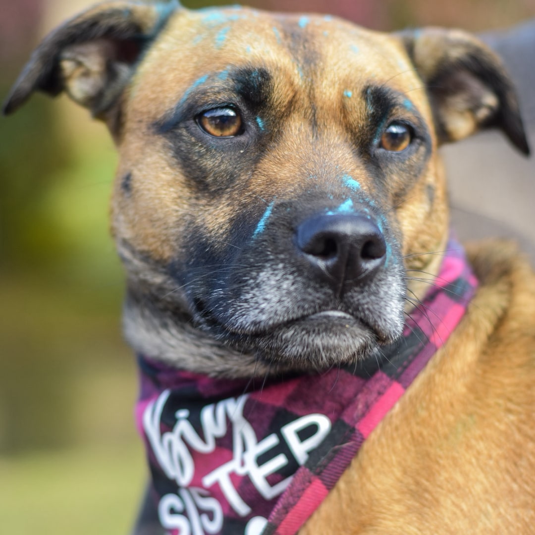 Photo shared by Alexis for their Babylist baby registry.