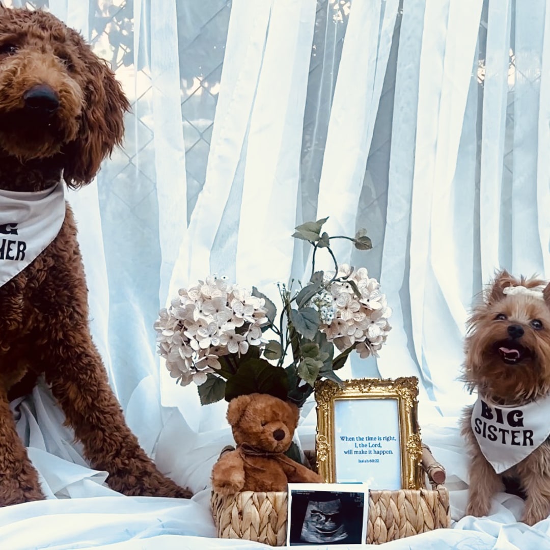 Photo shared by Patricia for their Babylist baby registry.