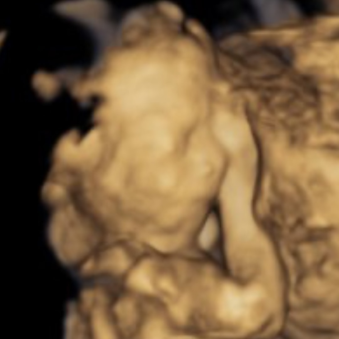 Photo shared by Belle for their Babylist baby registry.