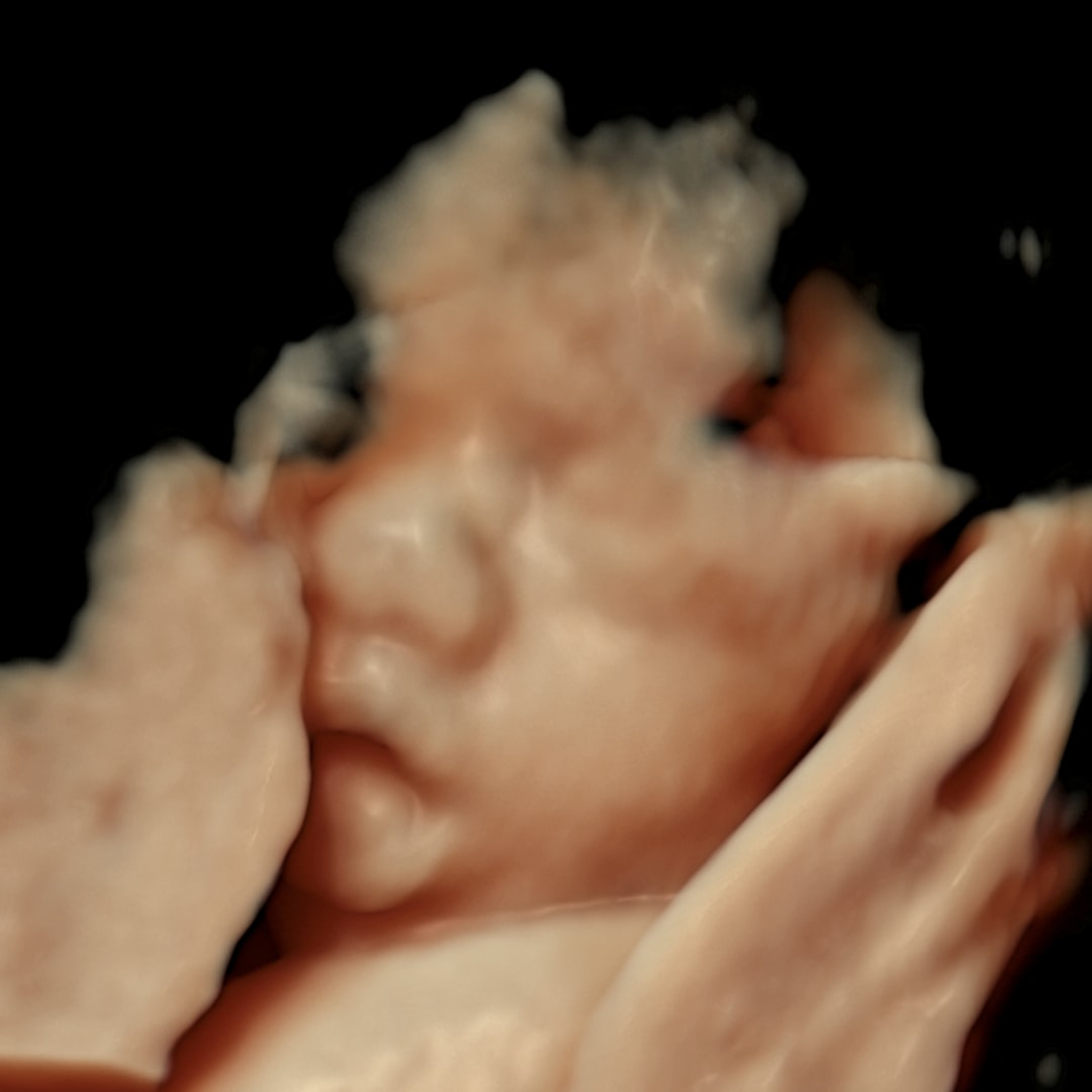 Photo shared by Cassandra for their Babylist baby registry.