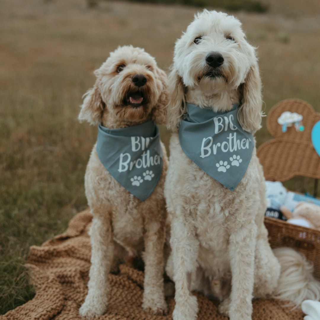 Photo shared by Brittney for their Babylist baby registry.
