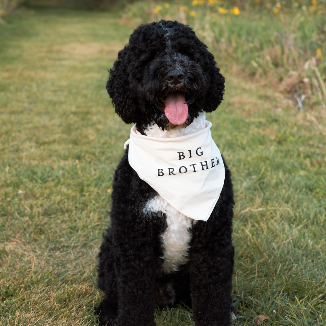 Photo shared by Allie for their Babylist baby registry.