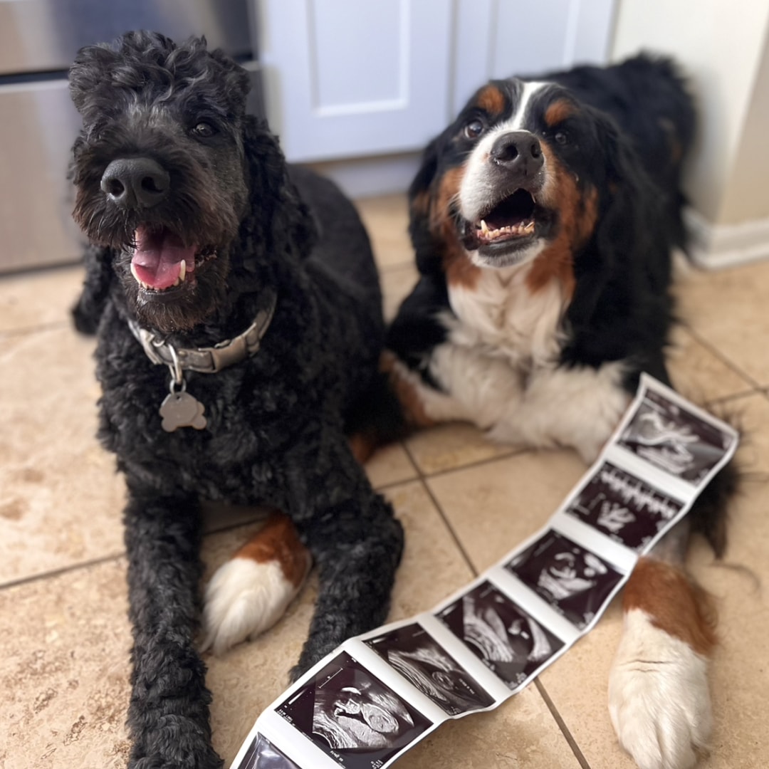 Photo shared by Kimberly for their Babylist baby registry.
