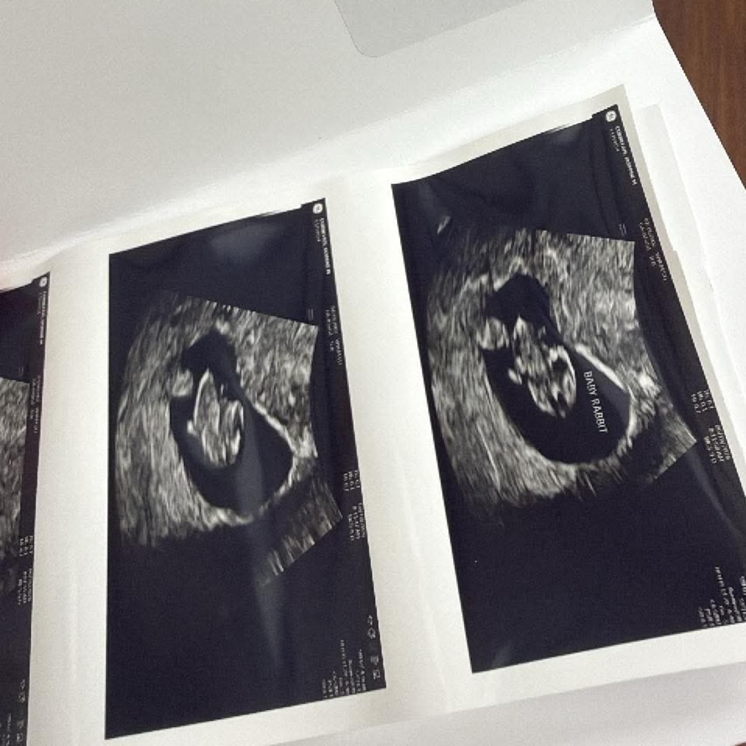 Photo shared by Jasmine for their Babylist baby registry.