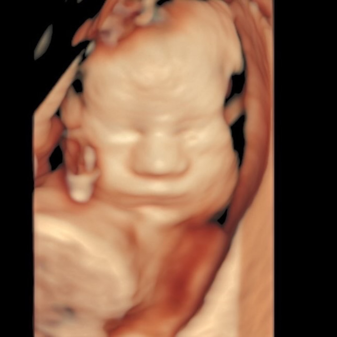 Photo shared by Gabrielle for their Babylist baby registry.