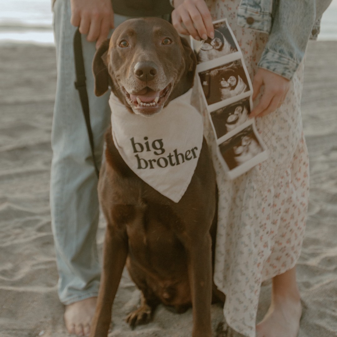 Photo shared by Arielle for their Babylist baby registry.