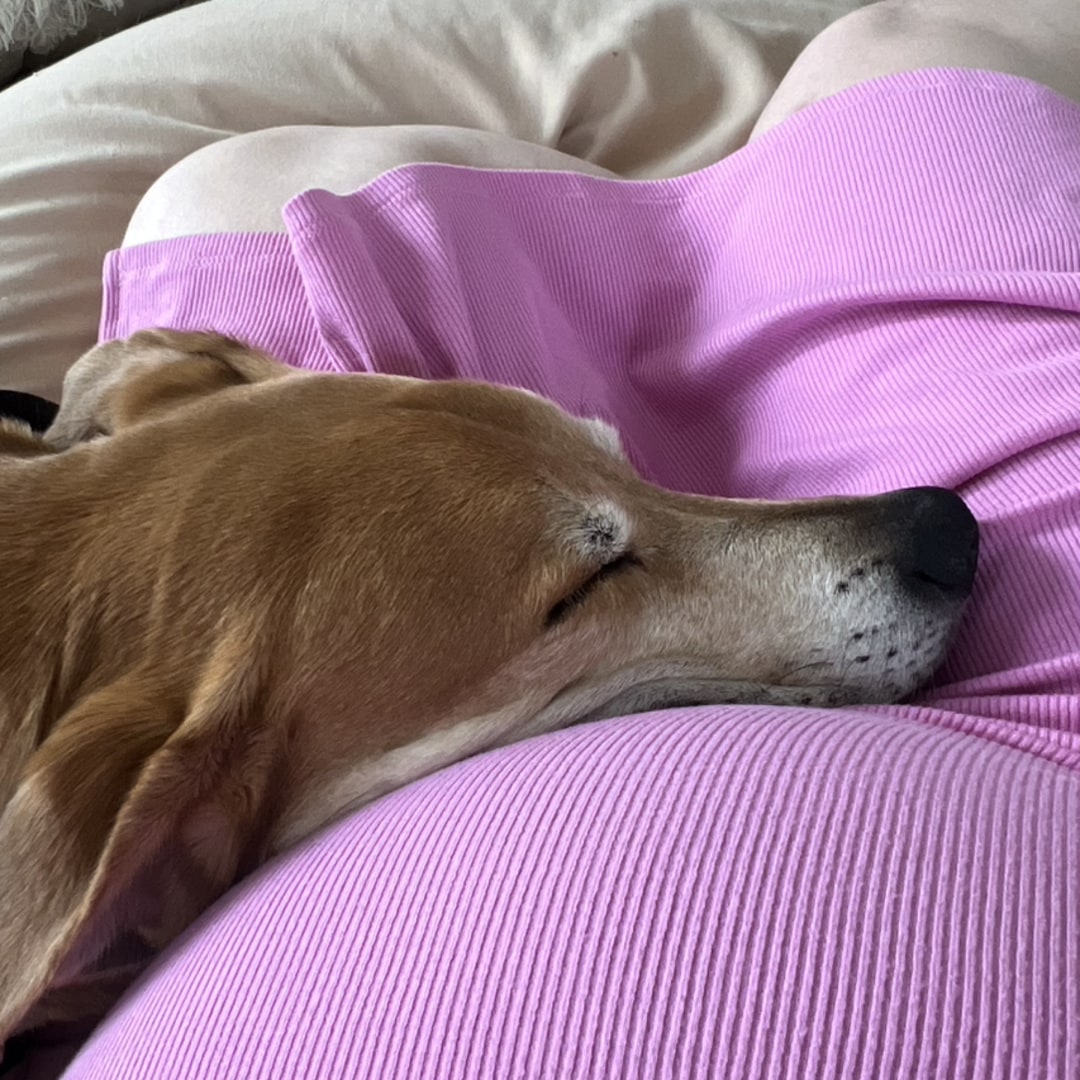Photo shared by Fiona for their Babylist baby registry.